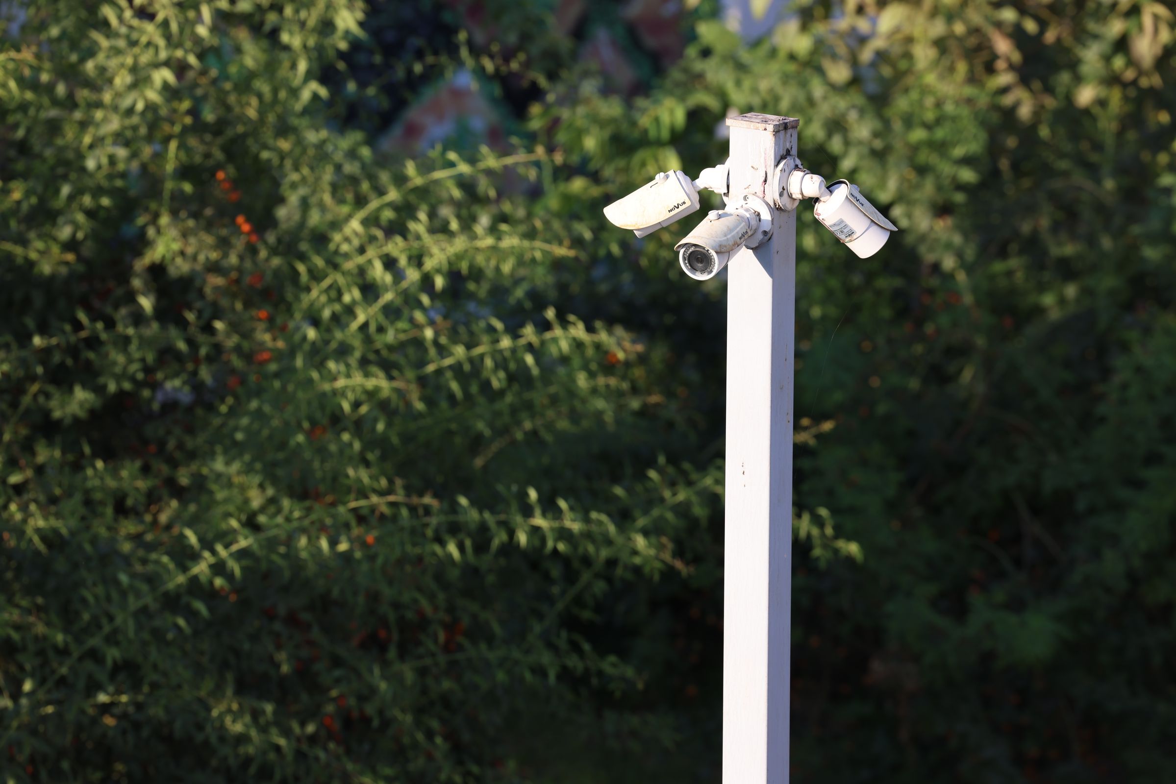 Drei weiße Überwachungskameras an einem Mast vor grüner Vegetation