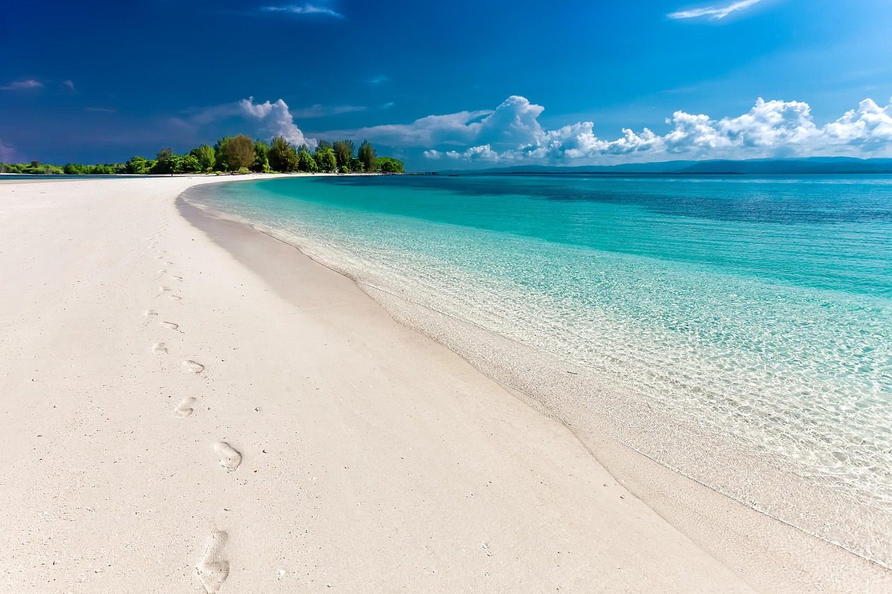Footprints in the sand on a beach beside the sea